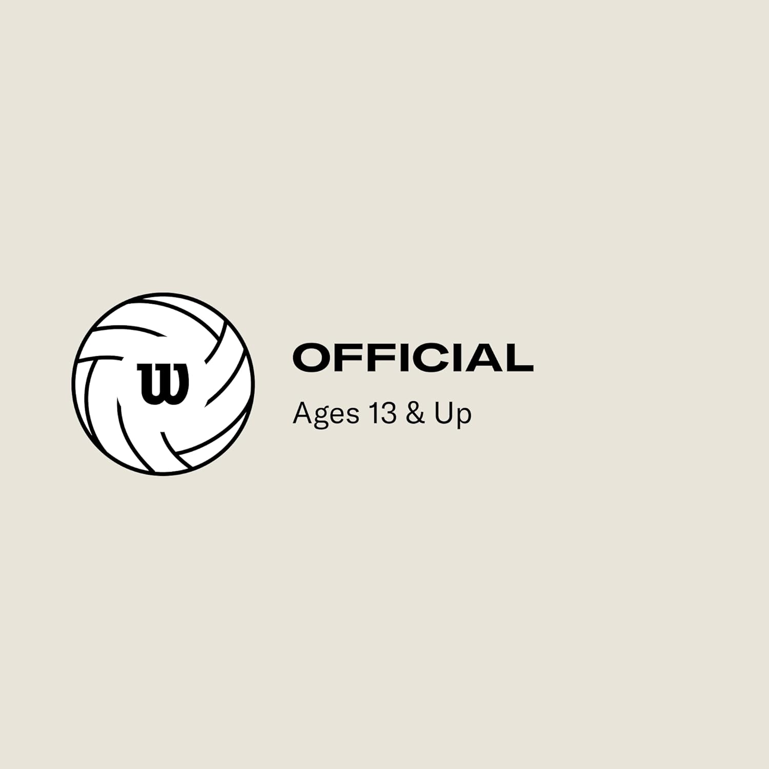 WILSON AVP Game Volleyballs - Official Size