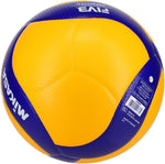 Mikasa V200W, Volleyball